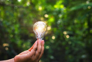 Home person is holding light bulb in their hand